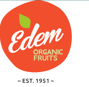 EDEM Logo